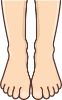 발모양