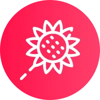 Sunflower Icon