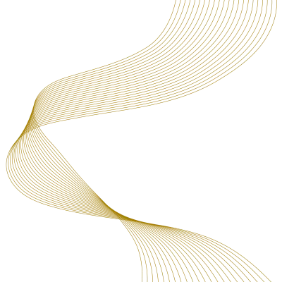 곡선