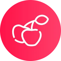 Cherries Icon