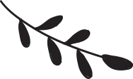 Leaf Icon Set
