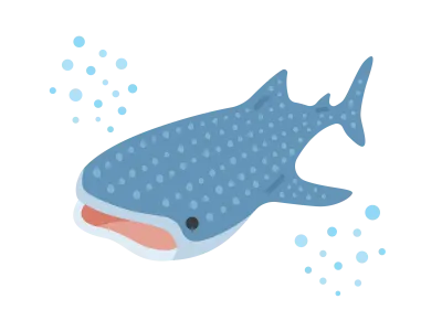 泳いでいるジンベイザメのイラスト