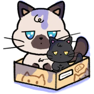 고양이