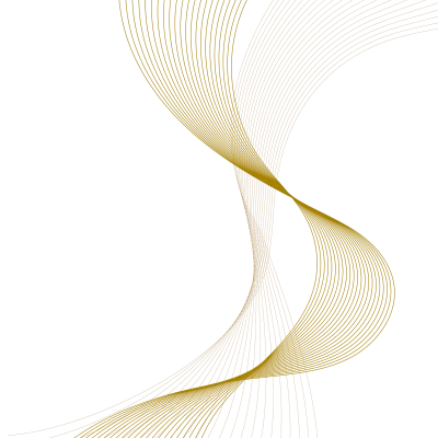 곡선