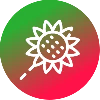 Sunflower Icon