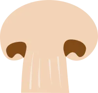 버섯 3