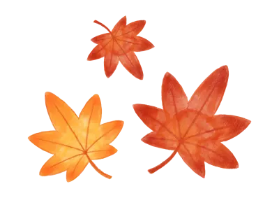 色鉛筆手描き秋の紅葉もみじイラスト