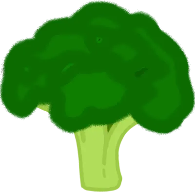 Broccoli