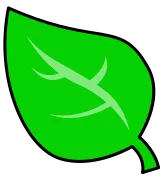 정원
