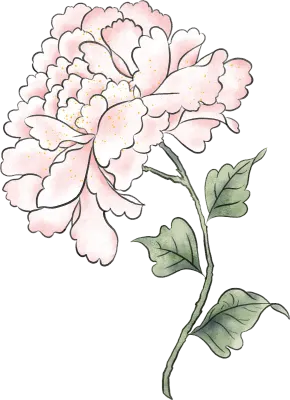 peony01