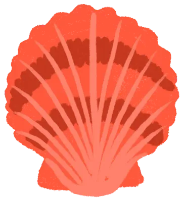 가리비 일러스트