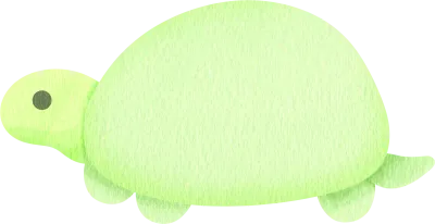 turtle