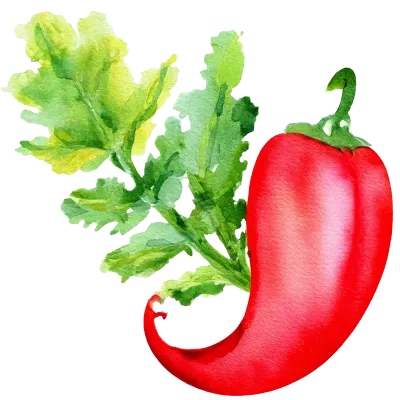 야채