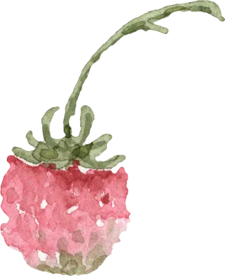 ANNEFlower