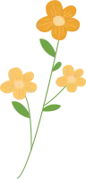 꽃