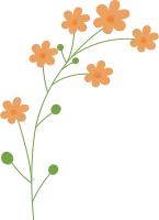 꽃