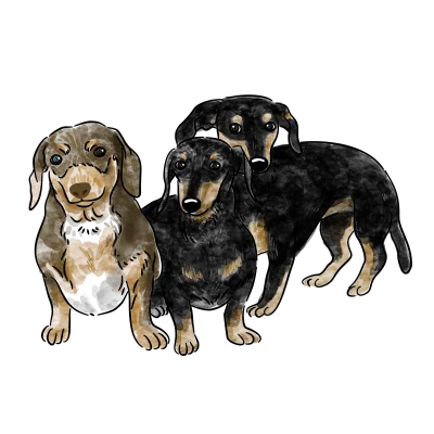 Dog watercolor style illustration