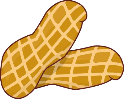 Two overlapping peanuts