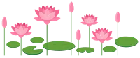 연꽃 4