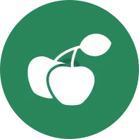Cherries Icon