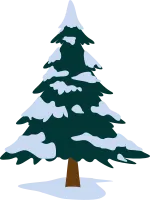 Pine tree in winter snowy season. Christmas tree with snow on branches isolated on white background.