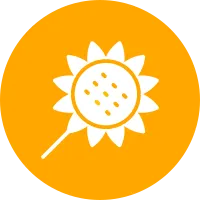 Sunflower Icon