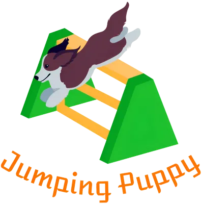 Energetic Puppy Leap