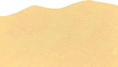 모래사장