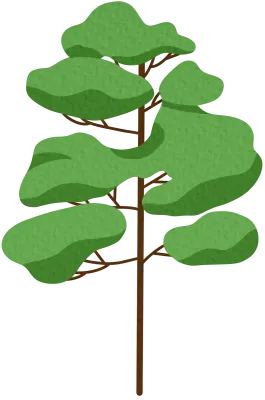 forest tree