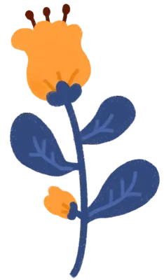 꽃