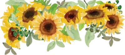 CA99-5