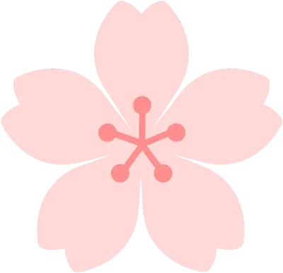cherry blossom