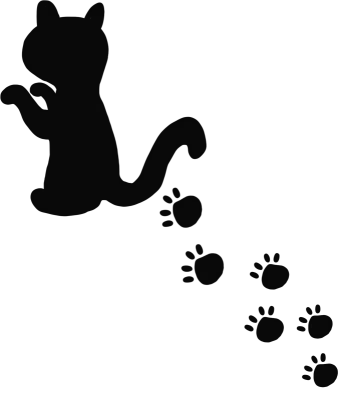 고양이