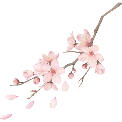 벚꽃 일러스트