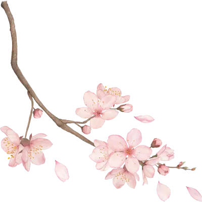 벚꽃 일러스트