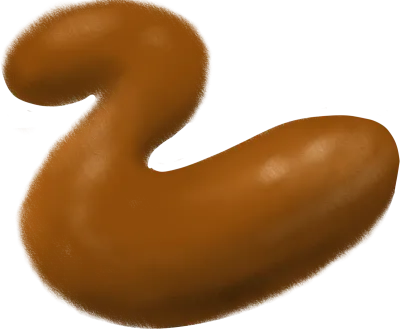똥