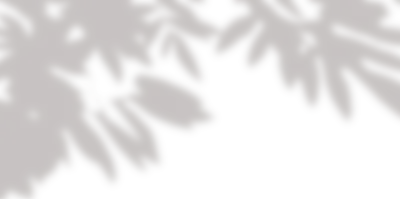 20250114-5