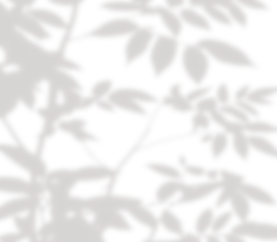 20250114-1
