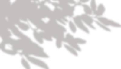 20250114-3