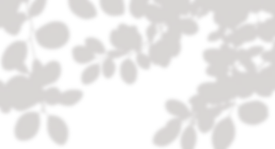 20250114-14