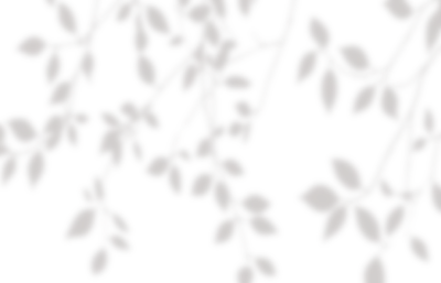 20250113-11