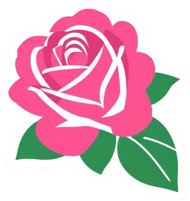 장미 rose
