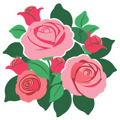 장미 rose