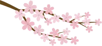 벚꽃 가지