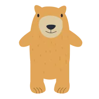Cute Bear animal