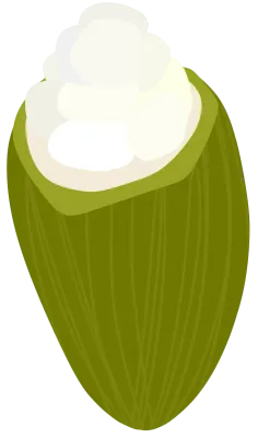 초콜릿