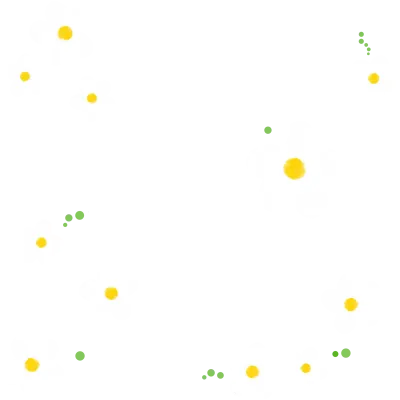 꽃