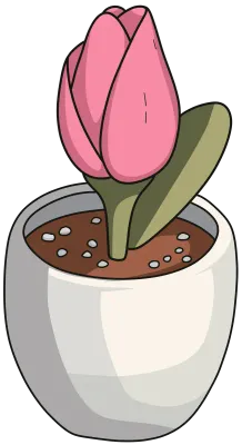 튤립화분