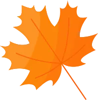 Autum Leaf