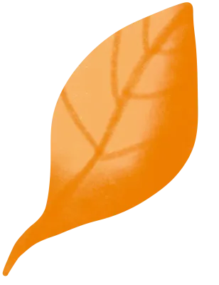 Ginkgos Leaf.